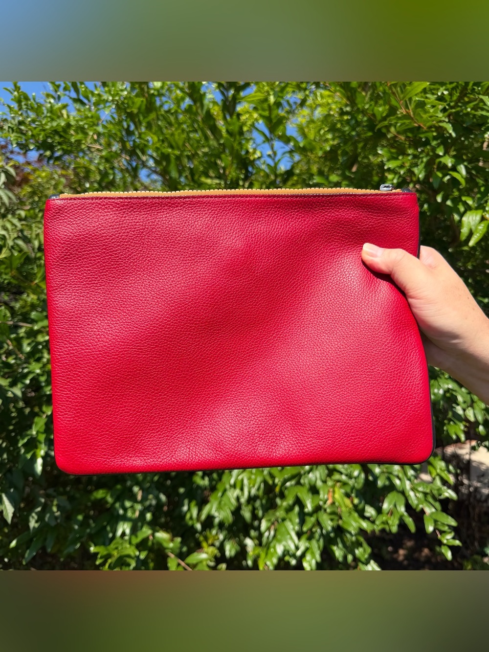 NWT Coach Pouch 30 With Rexy By Guang Yu 75508 - Picture 3 of 12